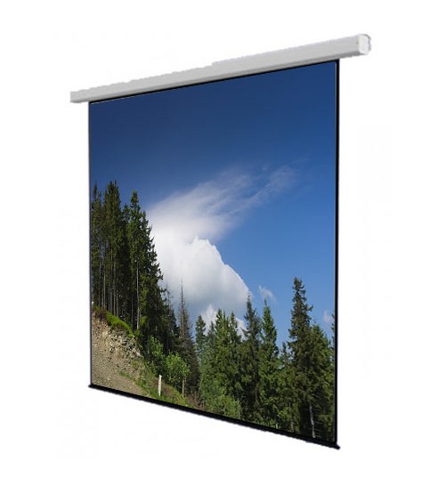 Screenview Manual Wall Screen MWSSV2424L